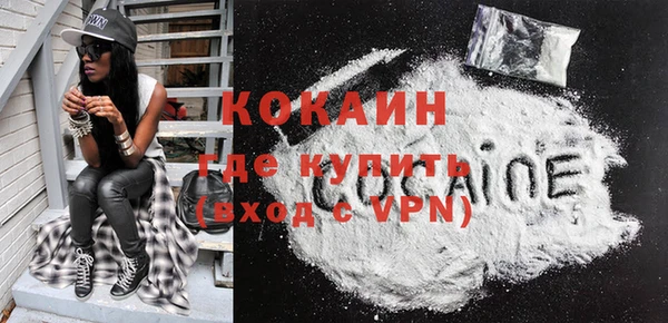 крисы Корсаков