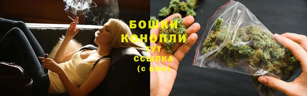 СК Коряжма