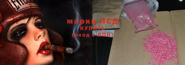 крисы Корсаков