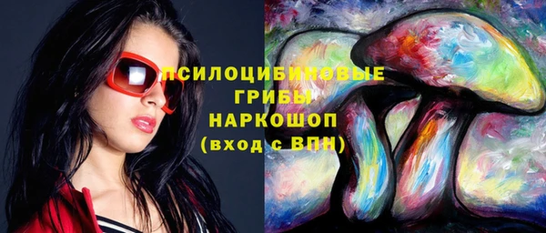 крисы Корсаков