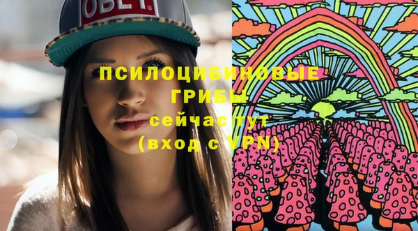 крисы Корсаков
