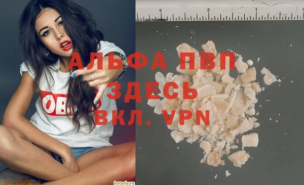 крисы Корсаков