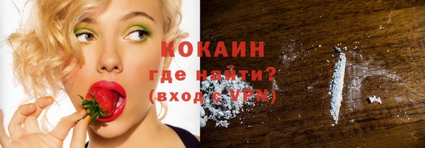 крисы Корсаков