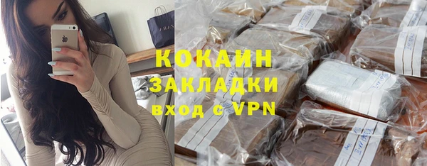 крисы Корсаков
