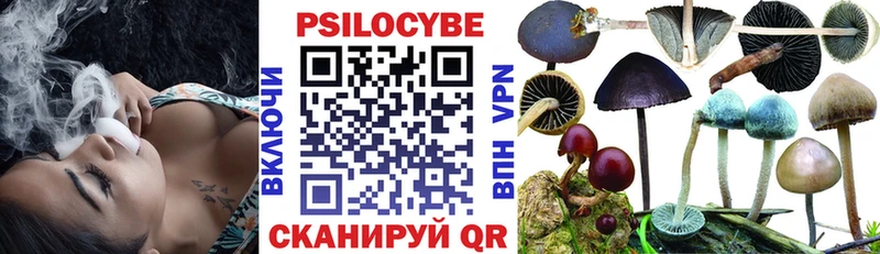 хочу   Дмитриев  Галлюциногенные грибы Psilocybine cubensis 